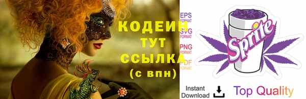 спиды Слюдянка