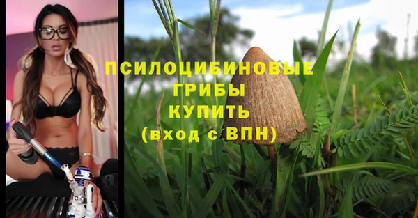 тгк Беломорск