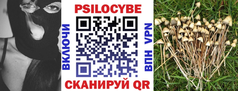 Псилоцибиновые грибы прущие грибы  где купить наркоту  Воскресенск 